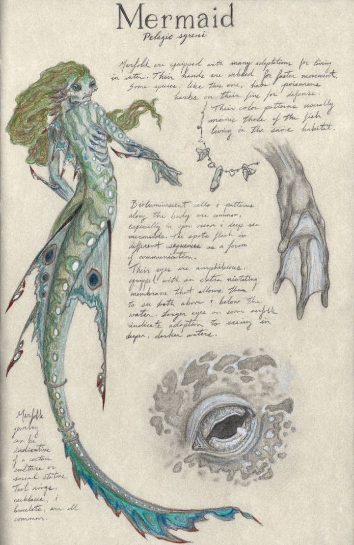 a drawing of a mermaid next to a handwritten letter and an image of a sea creature