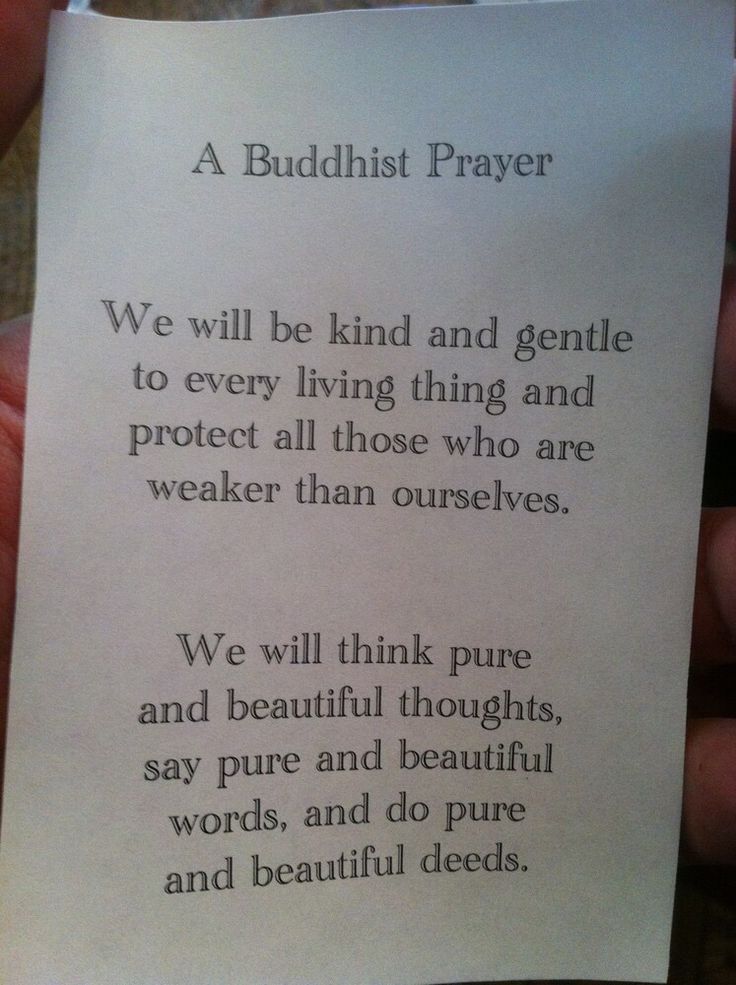 Simple Buddhist Prayer Buddhist Prayers, Buddhism Beliefs, Rainn Wilson, Sunrise Yoga, Buddhist Wisdom, Buddhist Philosophy, Buddhism Quote, Buddhist Traditions, Buddhist Prayer