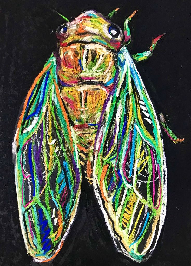 a painting of a colorful insect on a black background