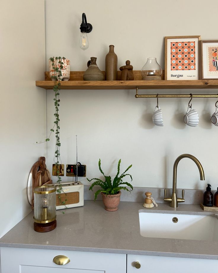 a kitchen with a sink, shelves and plants on the counter top in front of it