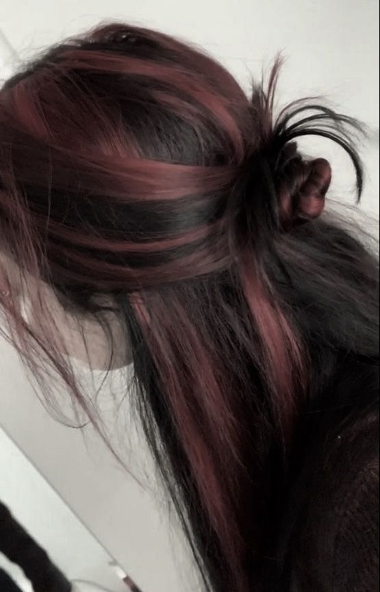 Hair Dyes For Brunettes, Black Hair With Strawberry Highlights, Brown Medium Hairstyles, Hair Color Idea For Dark Skin, What Color Goes With Black Hair, Rustic Hair Color, Types Of Red Hair Dye, Different Color Streaks In Hair, Hair Color Ideas 2 Colors