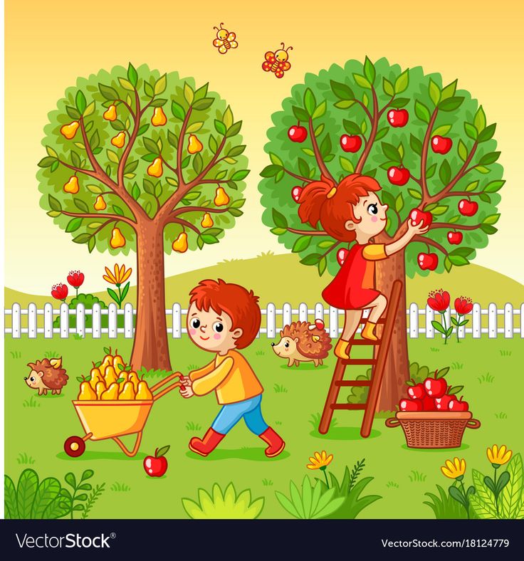 children picking apples from trees in the yard with an apple tree and other fruit on display