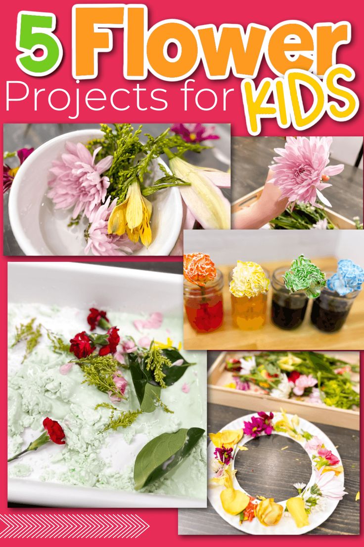 Flower Week Preschool, Flower Sensory Activities, Projects For Preschool, Flower Sensory, Flower Activities For Kids, Flower Activity, Projects For Preschoolers, Flower Science, Activities For Spring