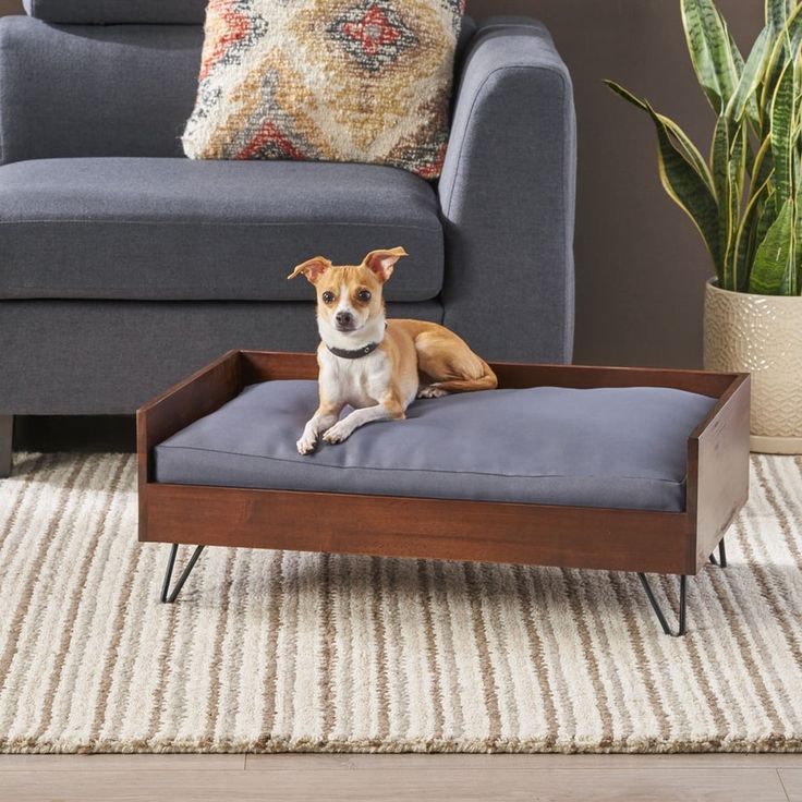 a dog laying on top of a pillow in a living room