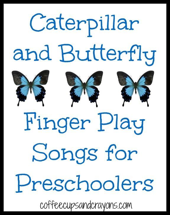 three blue butterflies with the words caterpillar and butterfly finger play songs for preschoolers