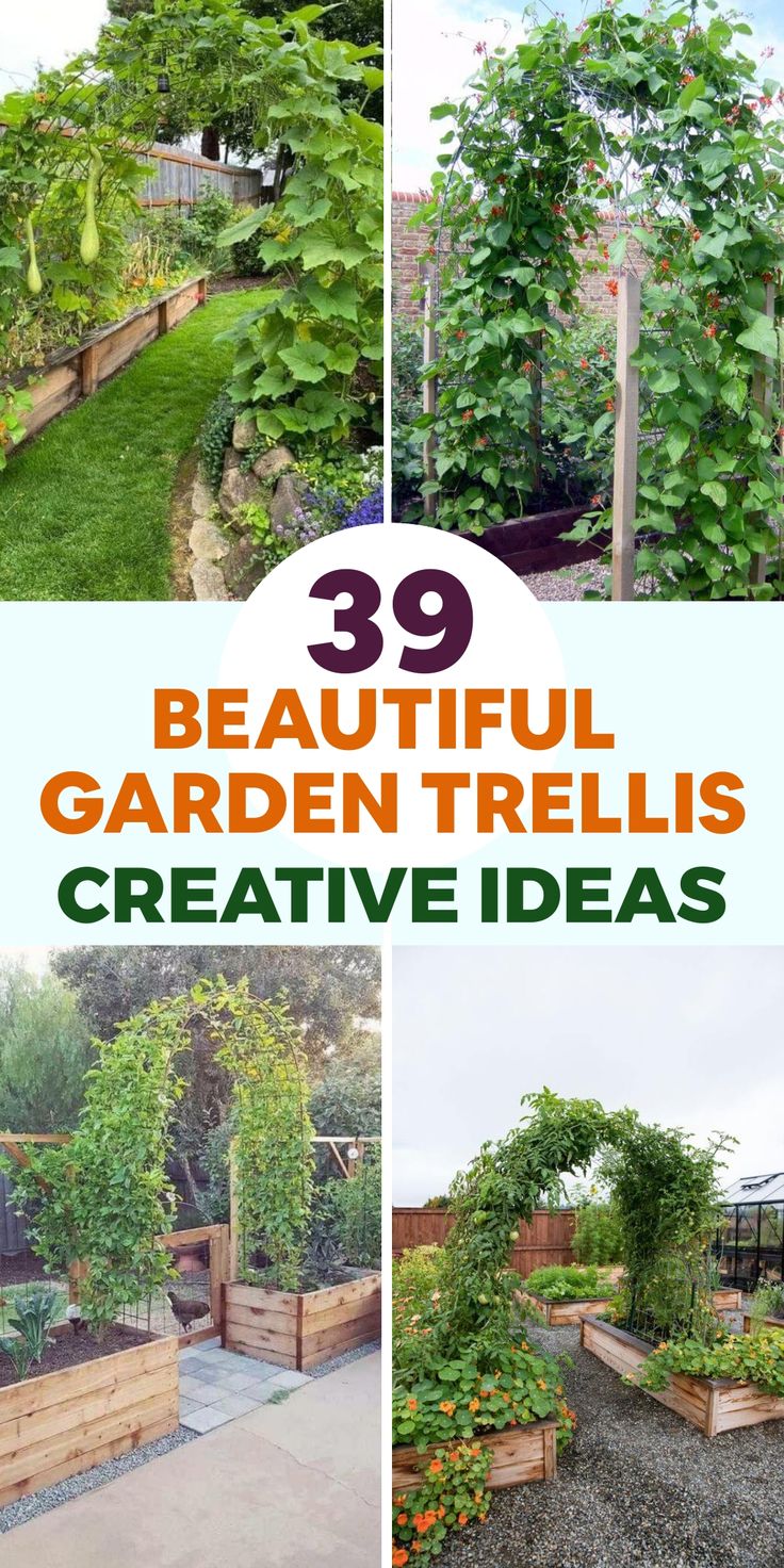 several different types of garden trelliss with the words 39 beautiful garden trellis creative ideas