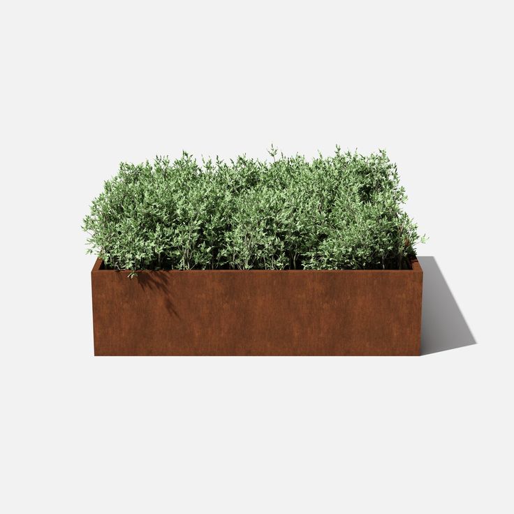 a planter filled with lots of green plants