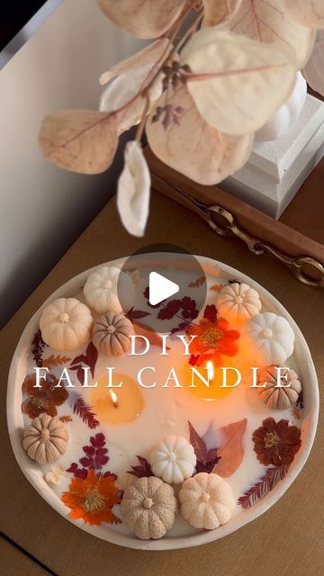 a white plate topped with pumpkins and leaves