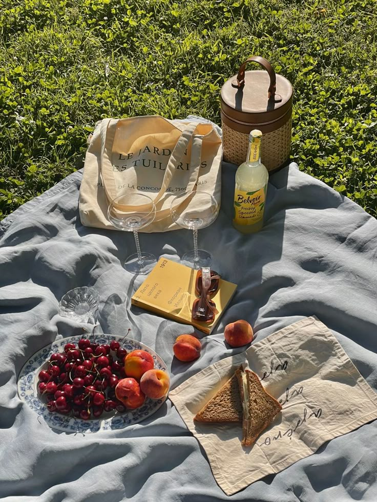 a picnic blanket with fruit, cheese and wine sitting on the ground next to it