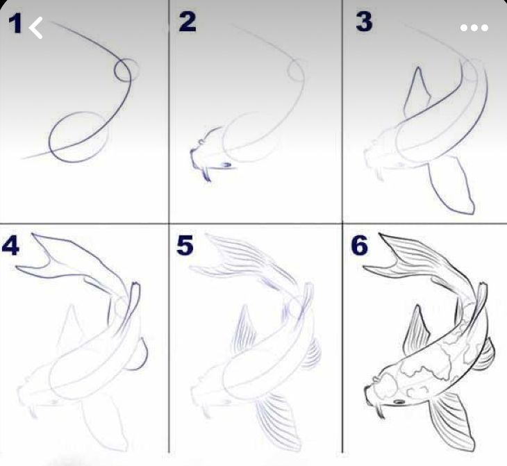 how to draw a koi fish step by step