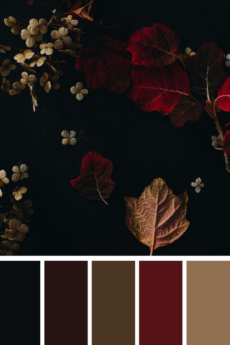 A rich palette of autumn colors, including deep reds, browns, and hints of gold. The contrast of the dark background with the vibrant leaves and delicate flowers creates a sophisticated and elegant aesthetic, ideal for seasonal and nature-inspired designs. Dark Autumn Wedding Colors, Dark And Moody Color Scheme, Burgundy Gold Black Color Palette, Burgundy And Brown Color Palette, Red Color Palette Living Room, Dark Earth Tone Paint Colors, Color Palette Dark Autumn, Autumn Color Bedroom Ideas, Deep Red Palette