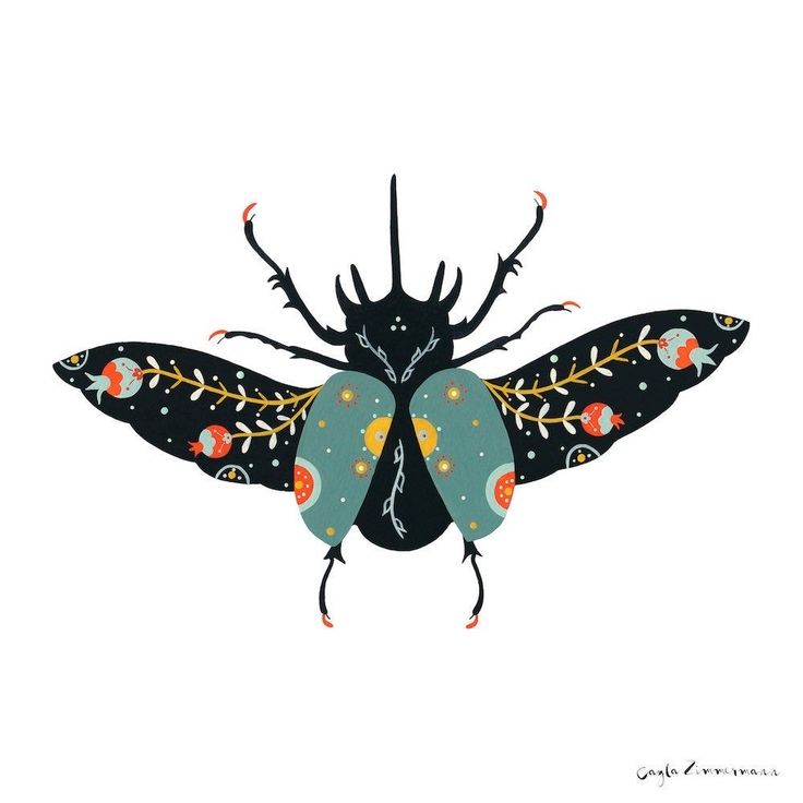 a black insect with orange and blue designs on it's wings, sitting in front of