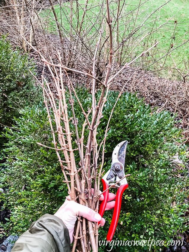 a person holding a pair of pliers next to a bare tree with no leaves