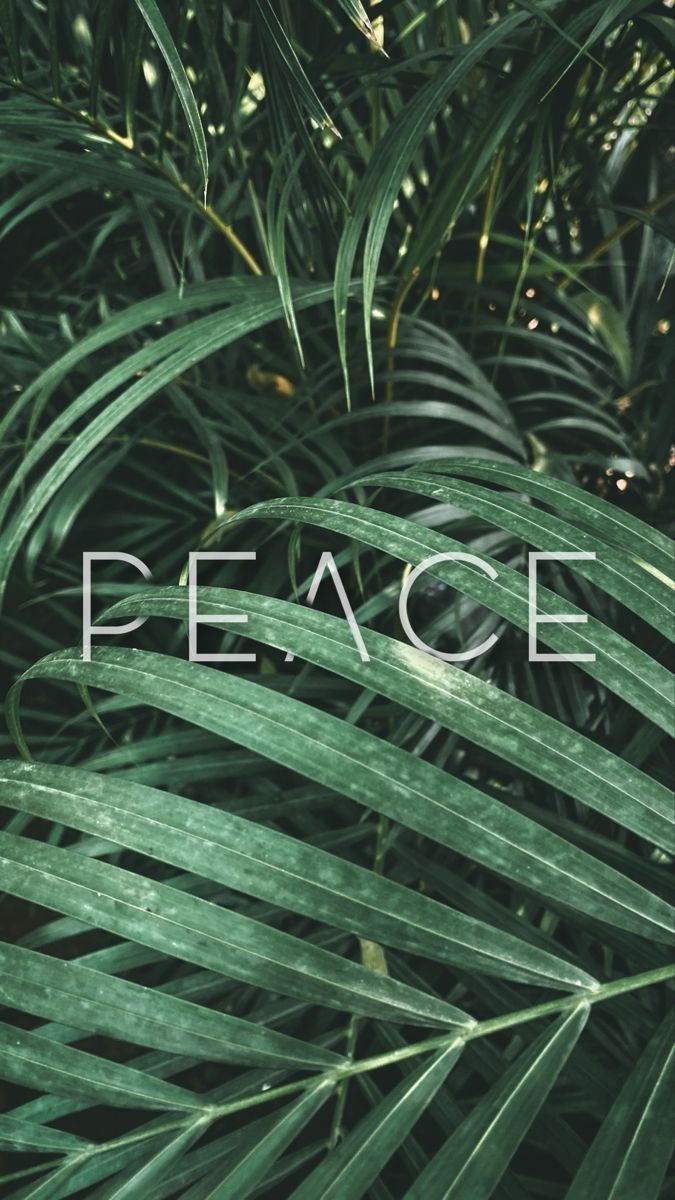 the word peace is surrounded by green palm leaves in front of a background of foliage