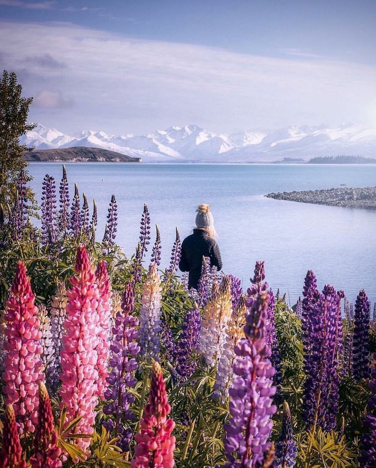 a person standing in the middle of flowers looking out over water with mountains in the background