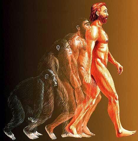 an image of three monkeys walking in the same direction as a man with no shirt on