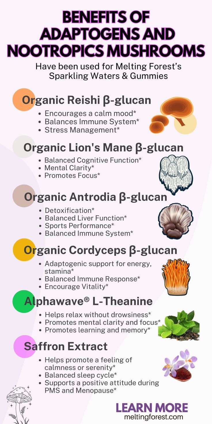 Benefits of Adaptogens and Nootropics Mushrooms Have been used for Melting Forest’s Sparkling Waters & Gummies. Health Benefits Of Mushrooms, Ginger Roots, Mushroom Benefits, Lions Mane, Mental Health Facts, Holistic Care, Adaptogenic Herbs, Herbs For Health, Holistic Nutrition