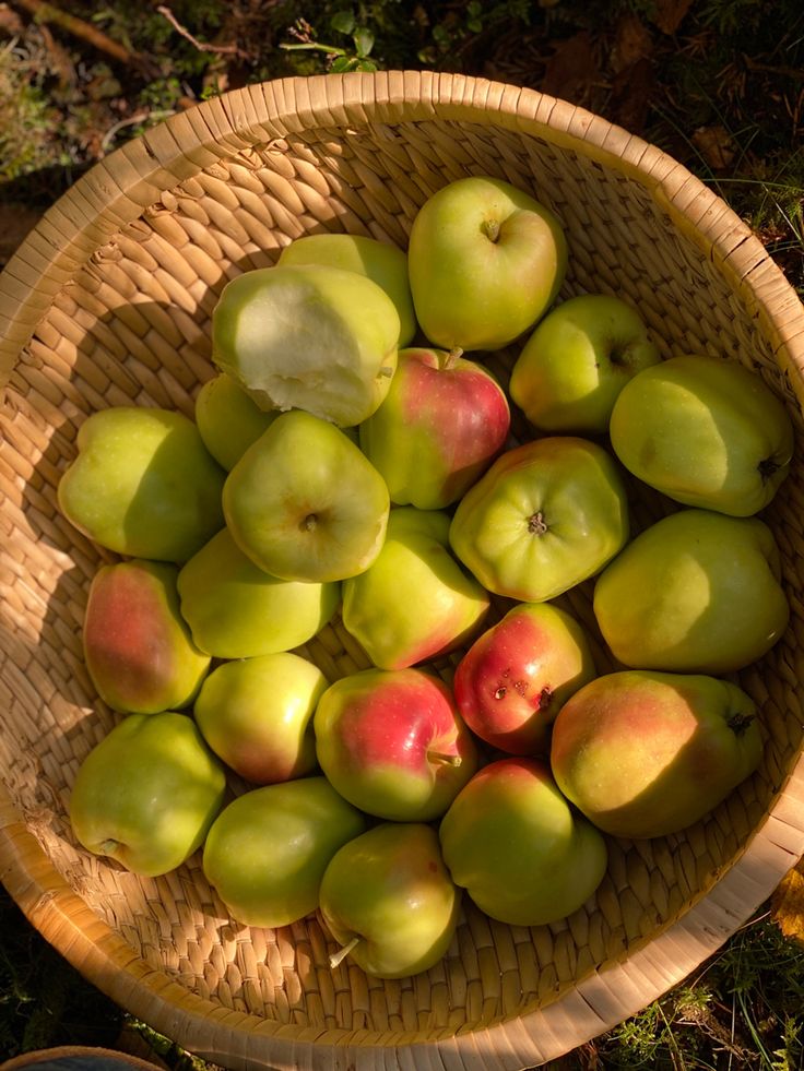 a basket filled with lots of green and red apples on top of a grass field