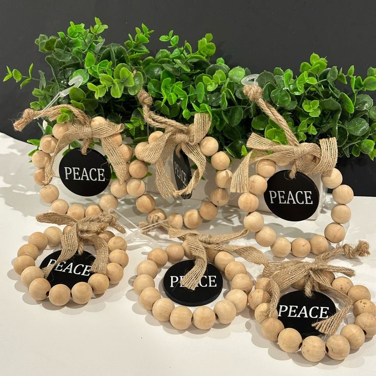 four wooden beads tied with jumbo - ball string are displayed in front of a potted plant