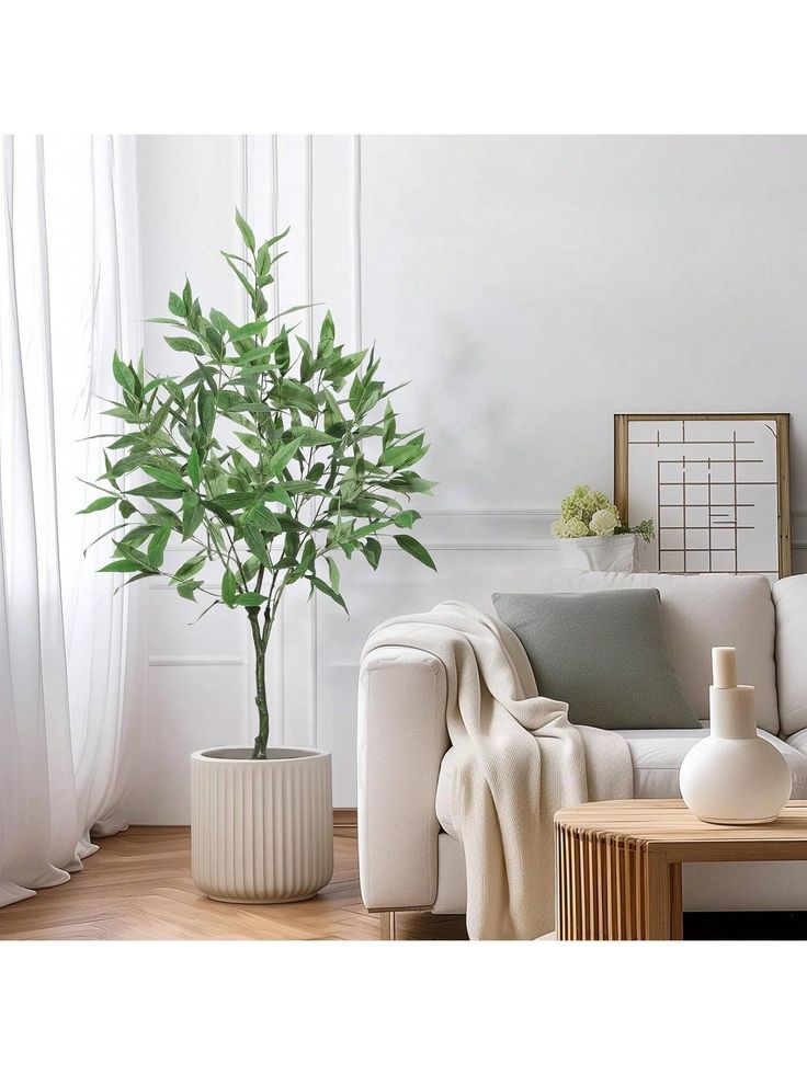 a living room with white furniture and a potted plant