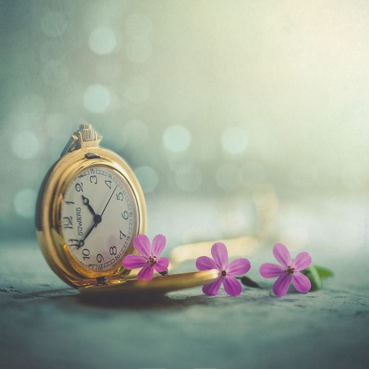 an old pocket watch sitting on the ground next to some purple flowers with boket lights in the background