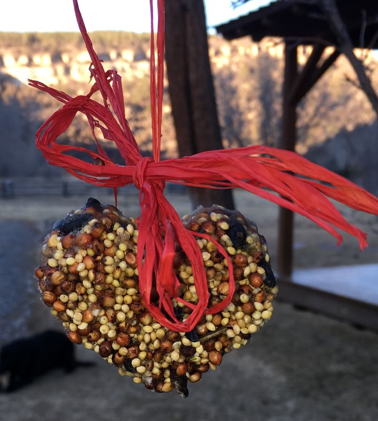 a bird feeder hanging from a red ribbon