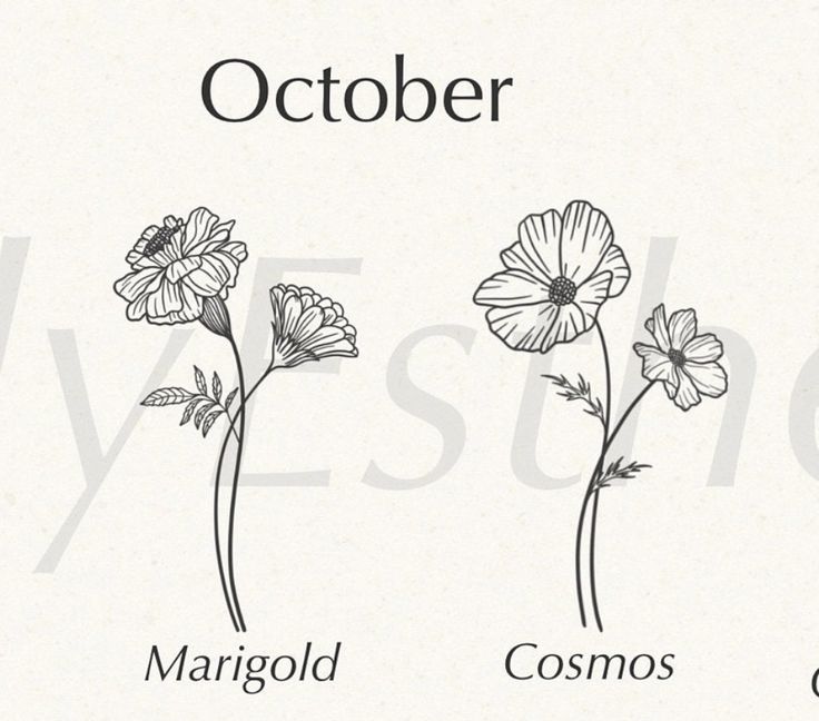 three different types of flowers are shown in this graphic style, with the words october and margold