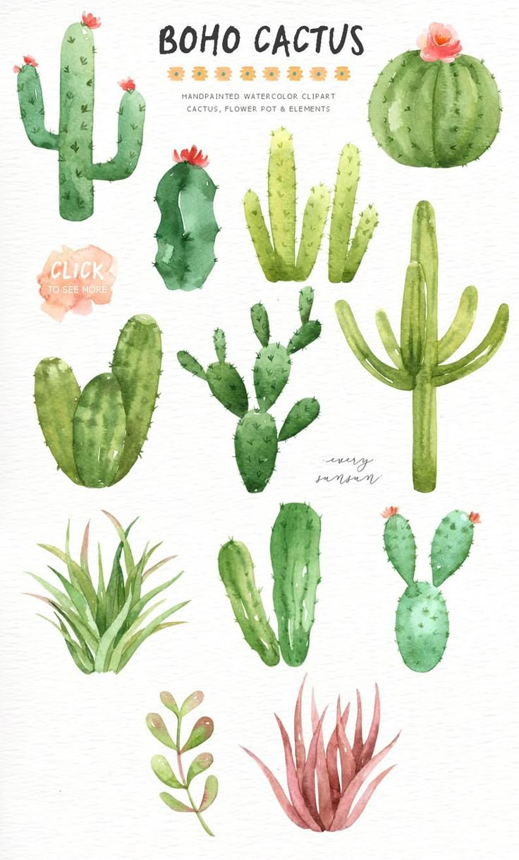 a watercolor painting of different kinds of cactus