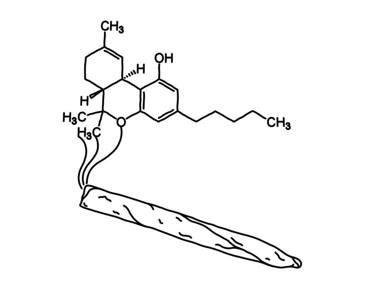 the structure of an insect is shown in black and white