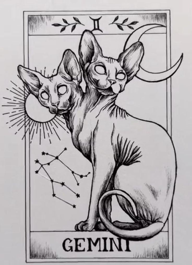 a drawing of two cats sitting next to each other on top of a white sheet