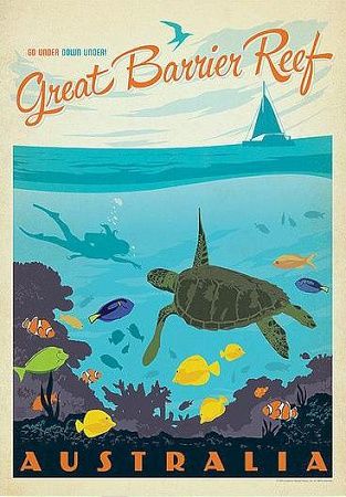 a poster with an image of a turtle swimming in the ocean