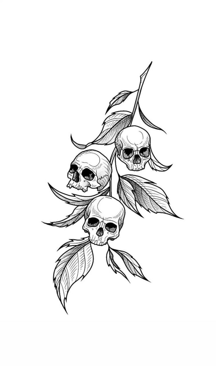 three skulls with leaves on their heads are shown in black and white ink, as well as