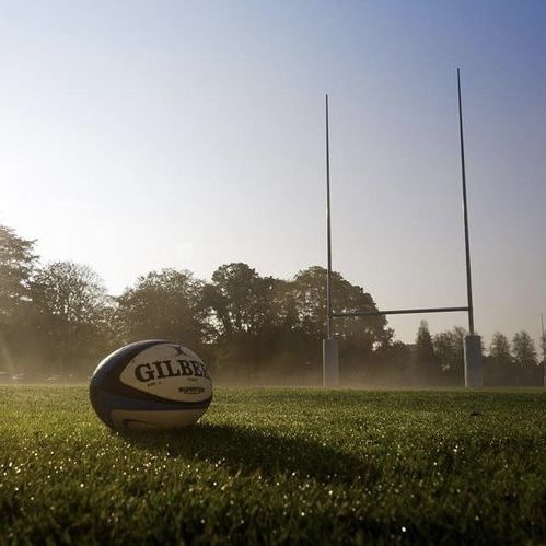 a rugby ball sitting on top of a lush green field next to a goal post