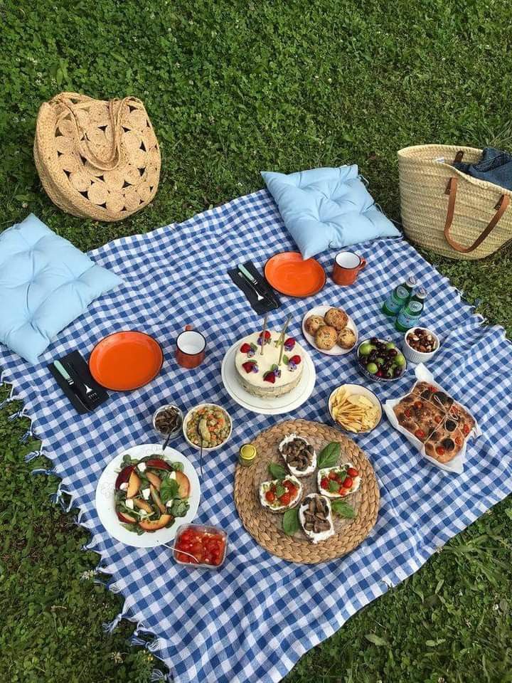 a blue and white checkered picnic blanket with food on it