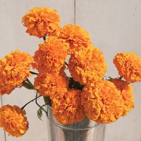 orange flowers are in a silver vase on a wooden table next to a white wall