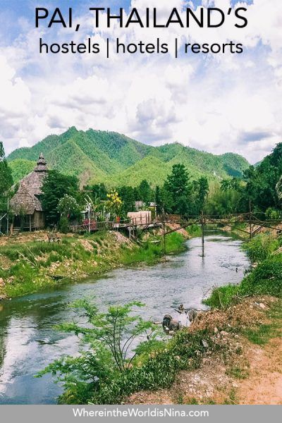 a river running through a lush green forest filled with trees and mountains in the background