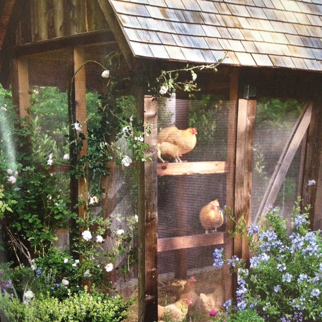 chickens in a small coop surrounded by flowers