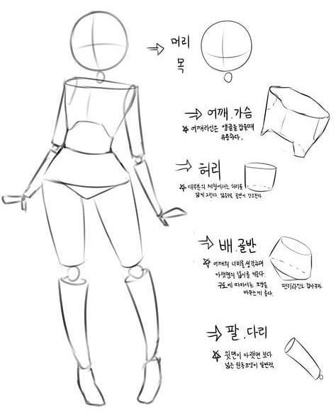 an anime character's body is shown with different angles and shapes, including the head