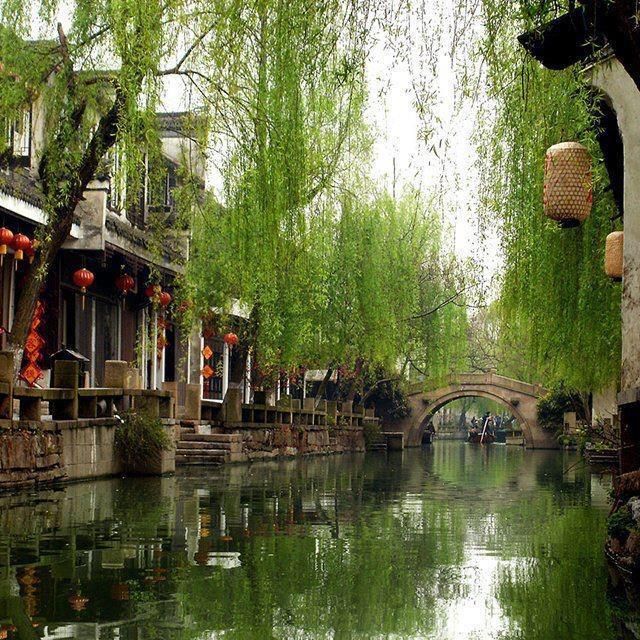 a river running through a lush green forest filled with lots of trees and flowers next to tall buildings