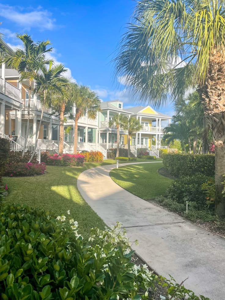 the walkway is lined with palm trees and flowers in front of several multi - story homes