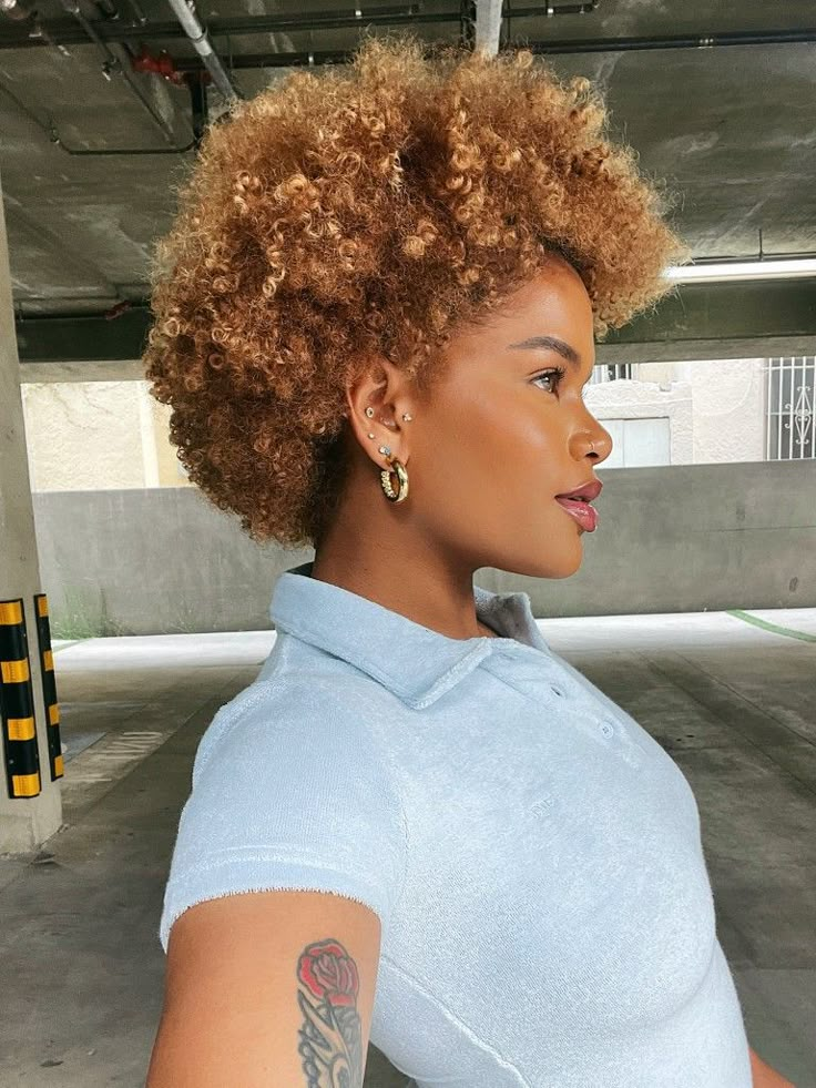 Natural Hair Pixie Cut, Caramel Blonde Hair Color, Alissa Ashley, Caramel Blonde Hair, Blonde Afro, Blonde Natural Hair, Honey Brown Hair, Natural Hair Short Cuts, Short Hair Images