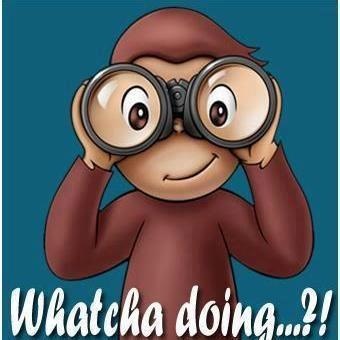 a monkey looking through some binoculars with the words whatcha doing? written below it