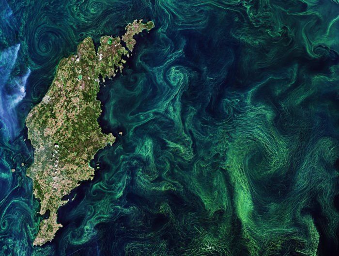 an aerial view of the ocean with green and blue algae in it's water