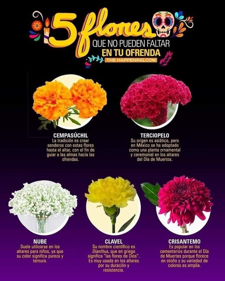 the five different types of flowers in spanish