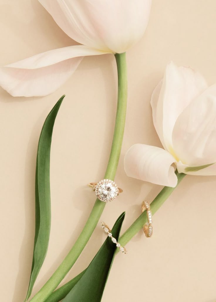 two white tulips are next to each other on a beige background with a diamond ring