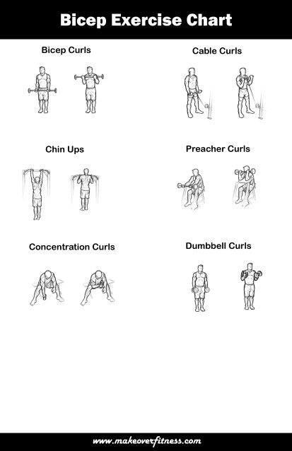 an exercise chart showing how to do the bicep exercises for men and women