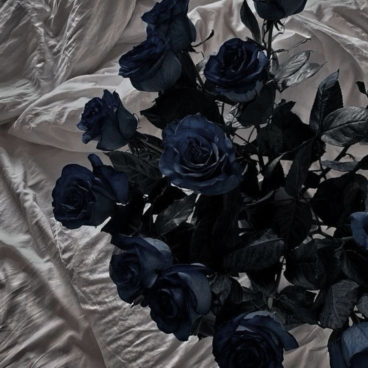 a bunch of dark blue roses on a white sheeted bed spread with wrinkled sheets