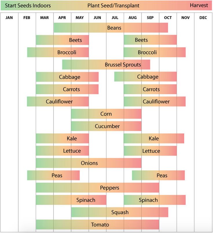 a chart showing the number and types of plants that are native to each region in the world