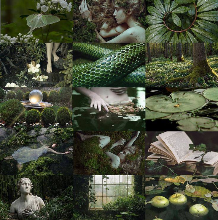 a collage of photos with green plants, trees and water lilies in them