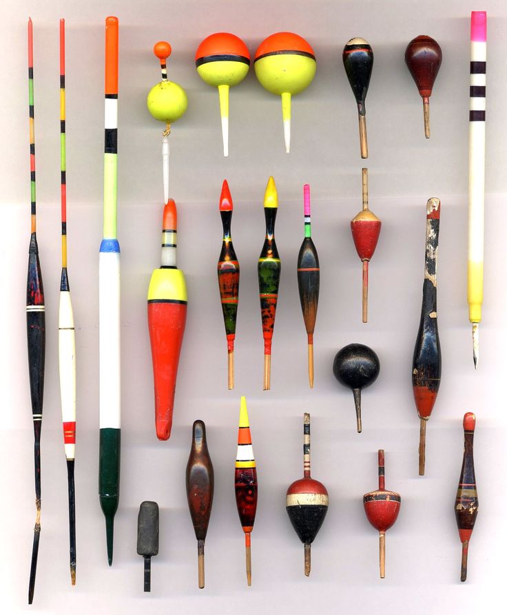 there are many different types of umbrellas hanging on the wall in this display case